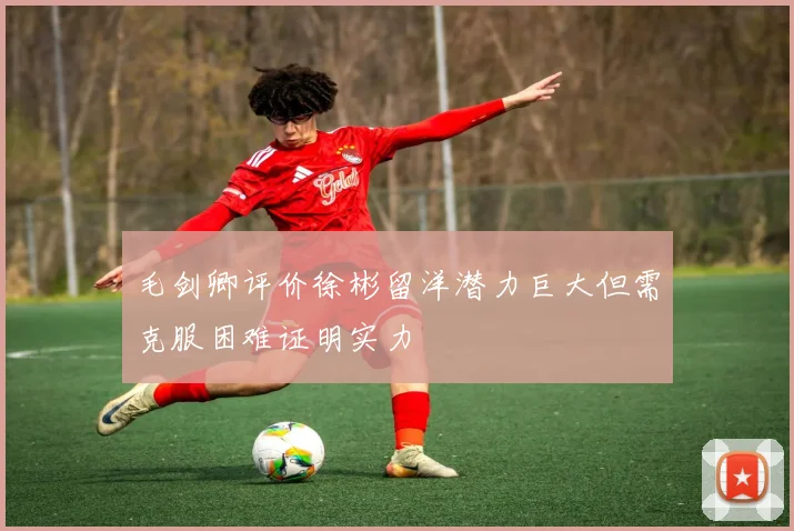 毛剑卿评价徐彬留洋潜力巨大但需克服困难证明实力